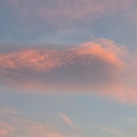 20260523_202510.jpg